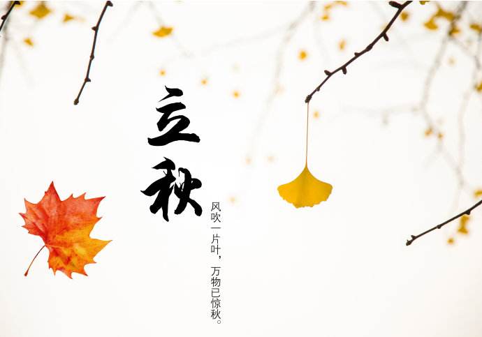 50岁东北老熟女露脸A片 今日立秋，青岛瑞普特分享立秋小知识